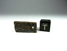 NWA 7502 CR2 Carbonaceous Chondrite