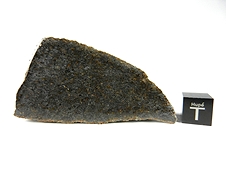 NWA 7630 Dunitic Ureilite