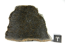 NWA 7630 Dunitic Ureilite