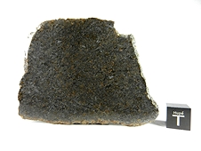 NWA 7630 Dunitic Ureilite