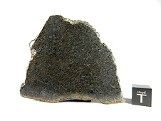 NWA 7630 Dunitic Ureilite