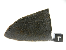 NWA 7630 Dunitic Ureilite