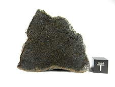 NWA 7630 Dunitic Ureilite
