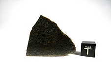 NWA 7630 Dunitic Ureilite