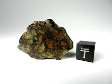 NWA 7822 Ungrouped Achondrite Meteorite