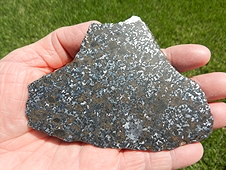 NWA 8368 Mesosiderite