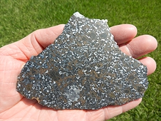 NWA 8368 Mesosiderite