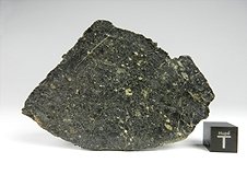 NWA 8673 Lunar Feldspathic Breccia