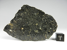 NWA 8673 Lunar Feldspathic Breccia