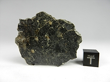 NWA 8673 Lunar Feldspathic Breccia
