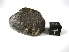 NWA 869 L4-6 Chondrite Meteorite