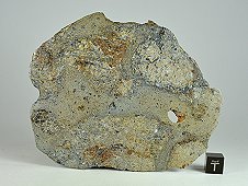 NWA 8744 Shock-Melted Feldspathic Diogenite Breccia