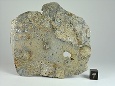 NWA 8744 Shock-Melted Feldspathic Diogenite Breccia