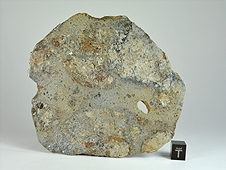 NWA 8744 Shock-Melted Feldspathic Diogenite Breccia