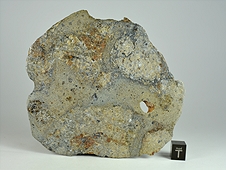 NWA 8744 Shock-Melted Feldspathic Diogenite Breccia