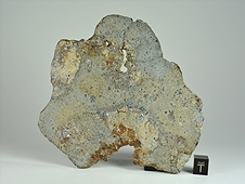 NWA 8744 Shock-Melted Feldspathic Diogenite Breccia