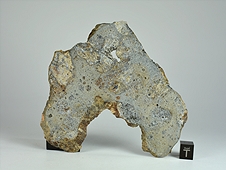 NWA 8744 Shock-Melted Feldspathic Diogenite Breccia