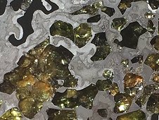 Seymchan Pallasite