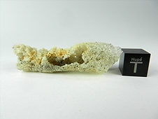 Fulgurite 'Frozen Lightning' - Florida