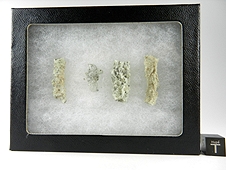 Fulgurite 'Frozen Lightning' - Florida