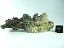 Fulgurite 'Frozen Lightning' - Morocco