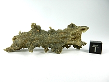 Fulgurite 'Frozen Lightning' - Morocco