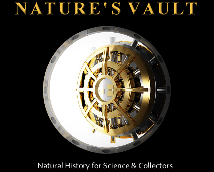 Nature's Vault Logo